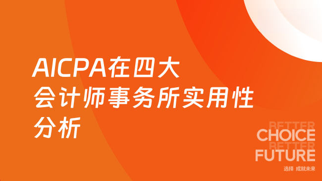 2025年AICPA在四大会计师事务所实用性分析