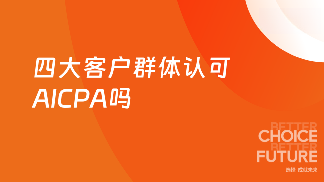 2025年四大客户群体及晋升